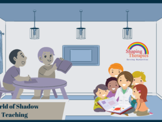 World of Shadow Teaching